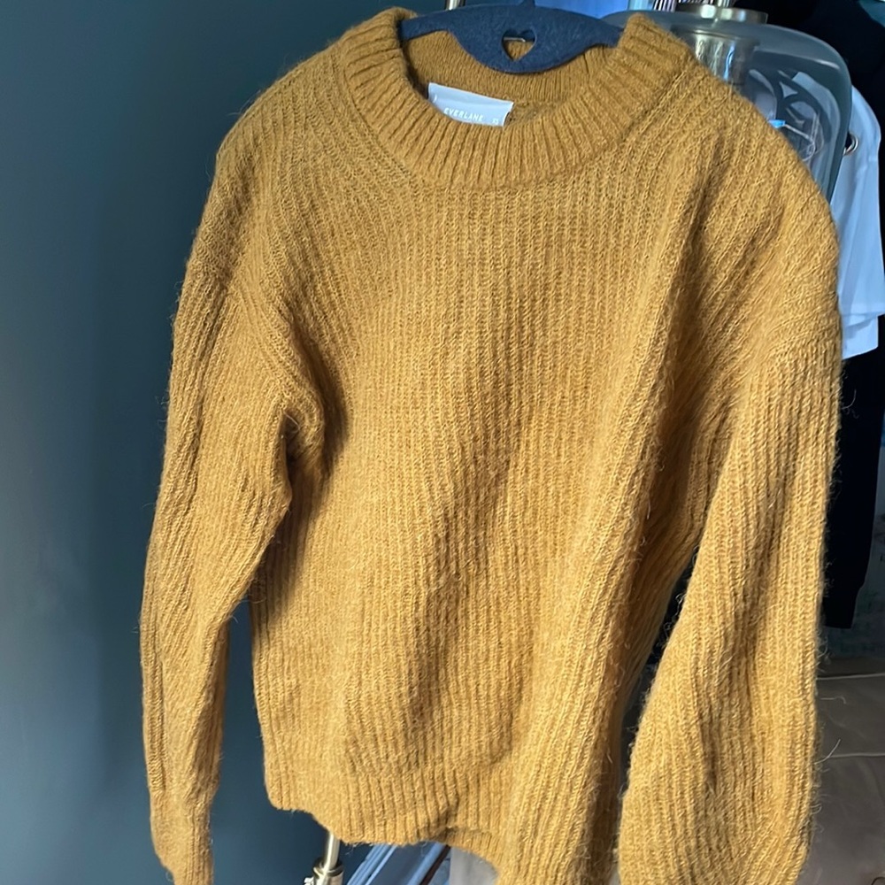 Everlane Oversized Alpaca Crew